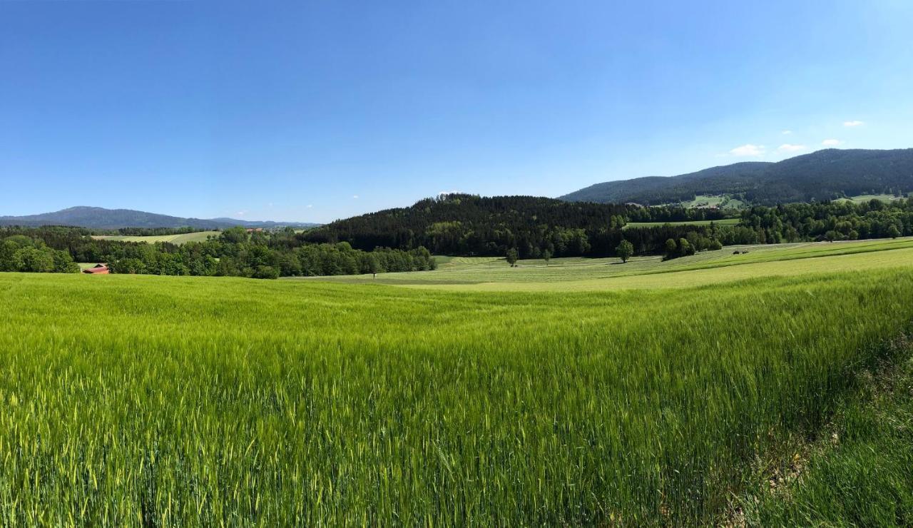 Отель Steinbuehler Hof - Stressfrei Am Lande Кёцтинг Экстерьер фото